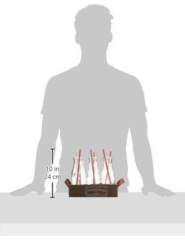 Set of 6 Mini Glass Milk Bottles with Retro Straws and Wooden Tray, Reusable Vintage Dairy Bottle for Parties and Picnics, Clear Beverage Glassware and Drinkware – 11 Ounce - Le'raze by G&L Decor Inc