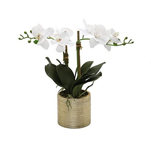 Fake Flowers for Decoration in Vase, 2 Stems Orchids Artificial Flowers, Beautiful Flower Centerpieces for Tables for Home Décor - Bedroom Décor - Kitchen Décor - Office Decoration = Charismas Gift - Le'raze by G&L Decor Inc