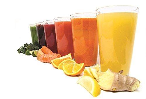 Attractive Highball Glasses Clear Heavy Base Tall Beer Glasses [Set Of 10] Drinking Glasses for Water, Juice, Beer, Wine, and Cocktails 17 Ounces - Le'raze by G&L Decor Inc