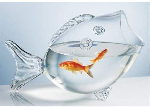 Glass Fish Bowl, Unique Candy Bowl - Serving Bowl, Terrarium Centerpiece Table Decor Ideal Gift for Weddings and Spa - 9.5" L - Le'raze by G&L Decor Inc