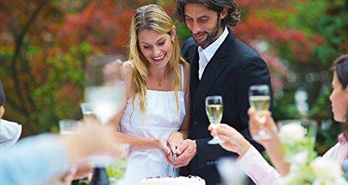 Cake Server Set. 1 Cake Knife and 1 Cake Server.Made of Stainless Steel With Beautiful Beaded Twisted Design. Ideal for Weddings, Parties, Elegant events. - Le'raze by G&L Decor Inc