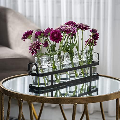 6pc glass flower vase with metal holder, best vases for