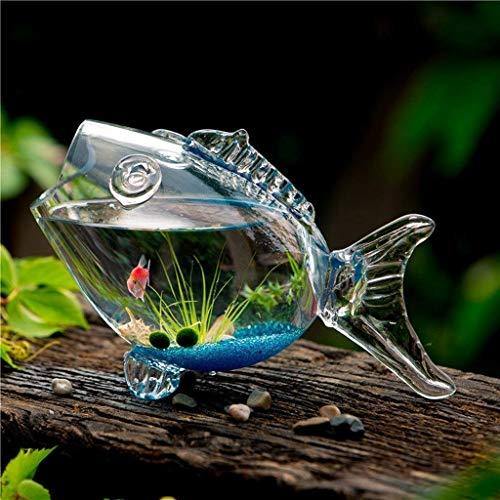 Glass Fish Bowl Unique Candy Bowl Serving Bowl Terrarium Centerpie Le raze by G L Decor Inc