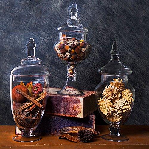 Set of 3 Premium Quality Apothecary Jars, Decorative Buffet Centerpiece, With Lids, Large Clear Apothecary Jars. - Le'raze by G&L Decor Inc