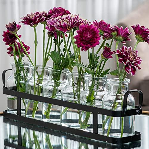6pc glass flower vase with metal holder, best vases for flowers, set for home decor, wedding decorations, table decor, kitchen, bathroom, bedroom, shelf decor, best modern vase for flower arrangement. - Le'raze by G&L Decor Inc